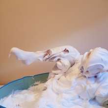 Submergedinfoam: White Christmas