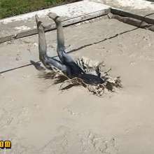 FOXY: video extreme mud