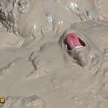 FOXY: video extreme mud