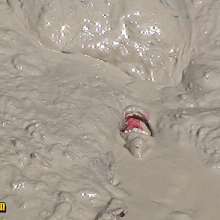 FOXY: video extreme mud