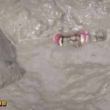 FOXY: video extreme mud