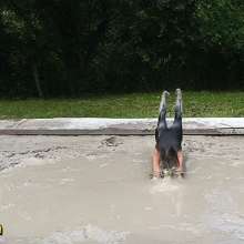 FOXY: video extreme mud