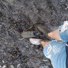 jamcustard22: Muddy walk