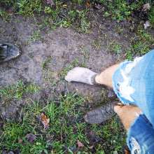 jamcustard22: Muddy walk