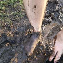 jamcustard22: Muddy walk