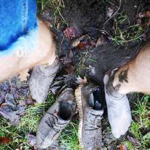 jamcustard22: Muddy walk