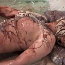 Messygirl: Bound for Pleasure