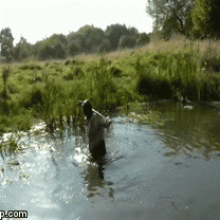 123gunge: Glourious Gifs letters M--P