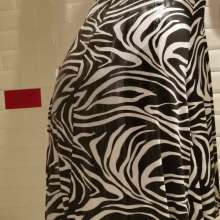 MadelineOasis: A Sexy Zebra Dress and Slip in the Shower