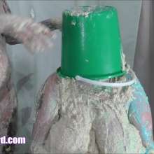 CandyCustard: Tammy's Revenge (Mia gets a margarine and flour shampoo)