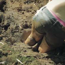 QS4Ever: Try Real Clay