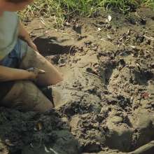 QS4Ever: Try Real Clay