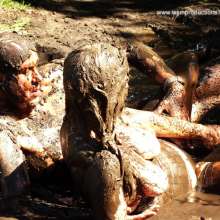 WSMProductions: Wet, Slapstick and Muddy Fun  with Custard Couple