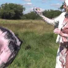 WSMProductions: Wet, Slapstick and Muddy Fun  with Custard Couple