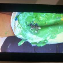 chocofan2: Head submersion box was a success!