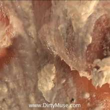 Dirty Muse: Ashley Graham--Slave