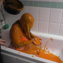 TheGungeZone: Kaylee's Messy Bet