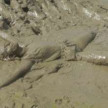 DungeonMasterOne: Shiny Nylon Shorts Mudbath with Maude!