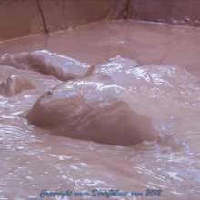 Dirty Muse: Splash Part-2