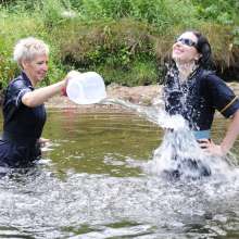DungeonMasterOne: Wet Nurses of 2018