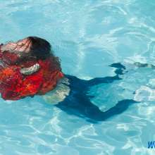 wet.look.me: Wetlook Oiling--Ripping Leather Pants and Outdoor Pool Girl| Wetlook.biz