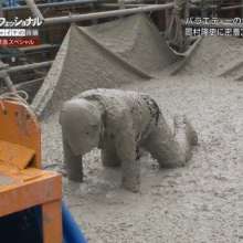 orfin: Can you help me find this japan male wet cement/conrete scene