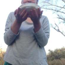 Top Messy Girls: Creamy Pie in the Woods