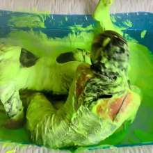 WAMfuns Messy Forfeits: Erin Moore and Lily Luxx's Night In