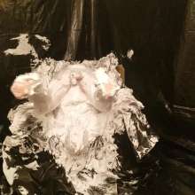 Messaroundman: Foam Throne