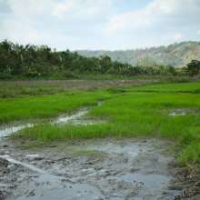 dlodoski: Nina, Mud Glam in the Rice Paddy--Photos