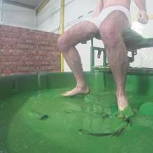 WamtasticUK: Topher in Boxers Searching for Clothes in Gunge Dunk
