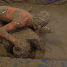 WamtasticUK: Double Mud Pit from Ste and Freddie