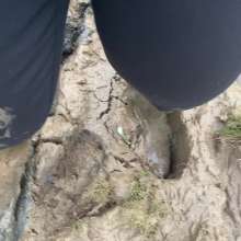 MuddySideUp: Estuary Mud02