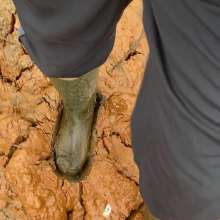 MuddySideUp: Estuary Mud02