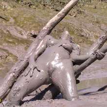 FOXY: Final video Vika mud mud mud...