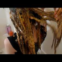 RevSlymsford: Kaydens Shampoo: Spaghetti Os, BBQ Sauce, 1000 Island ++++