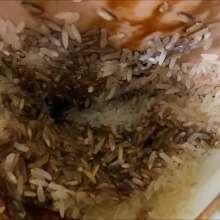 RevSlymsford: Luna's Dares 2: Fill Nappy With Eggs, Rice, Soy Sauce