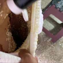 RevSlymsford: Luna's Dares 2: Fill Nappy With Eggs, Rice, Soy Sauce