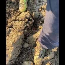 MuddySideUp: More Muddy Green Mercurial's