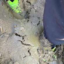 MuddySideUp: More Muddy Green Mercurial's