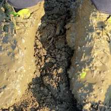 MuddySideUp: More Muddy Green Mercurial's