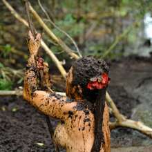 dlodoski: Island Bog Babe--Nikko (photos)