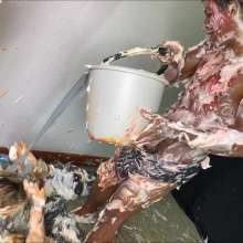 RevSlymsford: Pie Fight!  Arrogant Director Rafa Vs Star Model Cillian