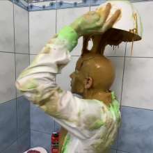 Your Wet Cat: Recipe for a Student Dinner and Its Consequ