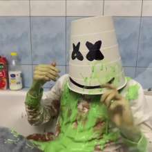 Your Wet Cat: Recipe for a Student Dinner and Its Consequ