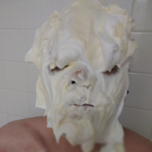 Goprodude: 