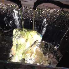 LiquidX: TMe: The Messyworld EXpress: Callum Leigh