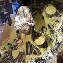 LiquidX: TMe: The Messyworld EXpress: Callum Leigh