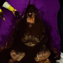 The Man and The Wife: New Download: 'Violet's Savory Annihilation'