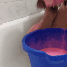MessyPinkKitty: 